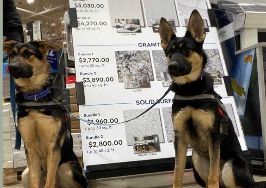 About 513k9.com - Overview