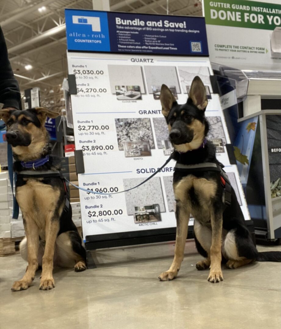 Two dogs sitting next to a sign in a store.