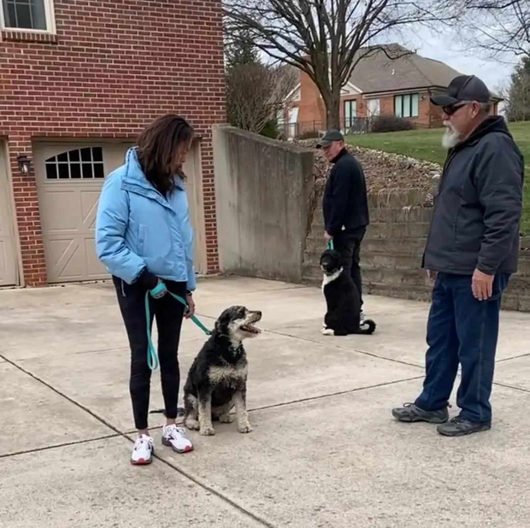 A woman and two men standing next to a dog.